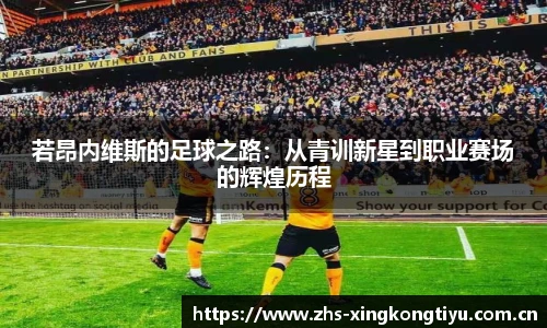 若昂内维斯的足球之路:从青训新星到职业赛场的辉煌历程